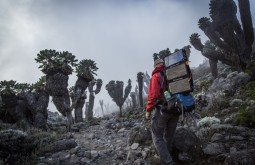 KILI - Maximo e as árvores típicas que só existem no Kili acima de 4000m. Acredite, debaixo das placas solares tem uma Deuter - Foto Gabriel Tarso